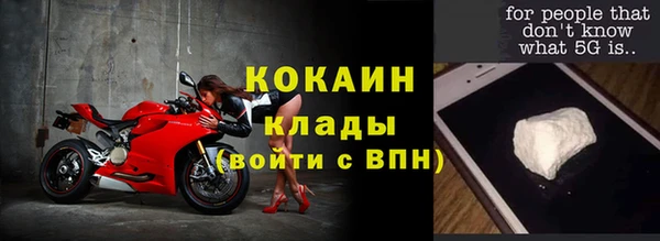 гидра Козловка