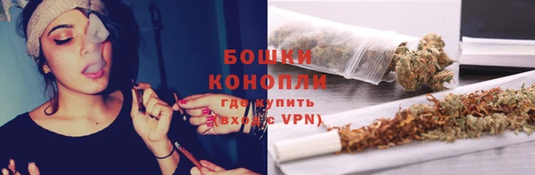 PSILOCYBIN Корсаков