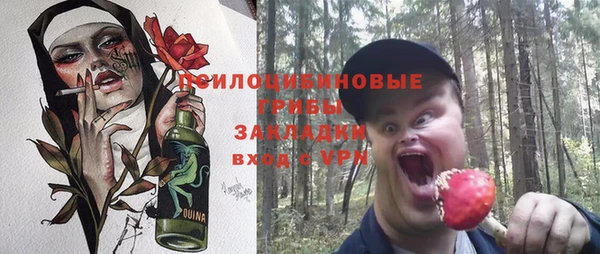 гидра Козловка