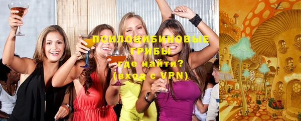 гидра Козловка