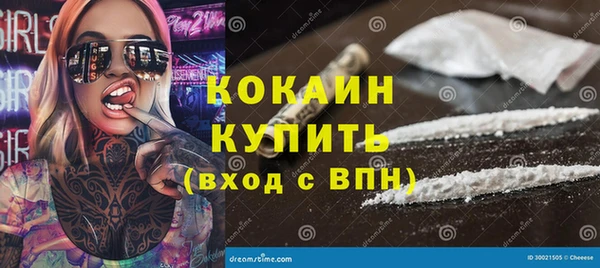гидра Козловка