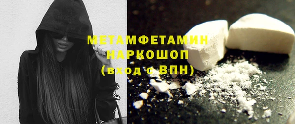 гидра Козловка