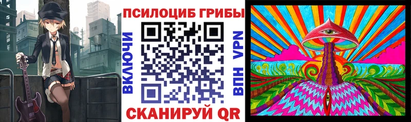 Псилоцибиновые грибы прущие грибы Луга