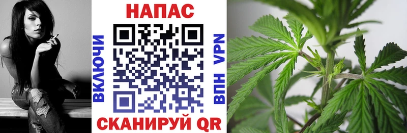 дарнет шоп  Луга  Конопля Bruce Banner 